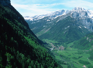 Schutzwald Schweiz